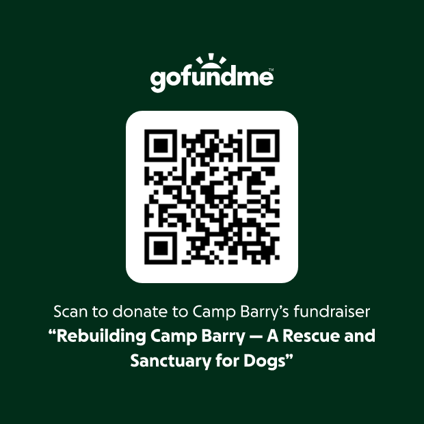 qr code 2